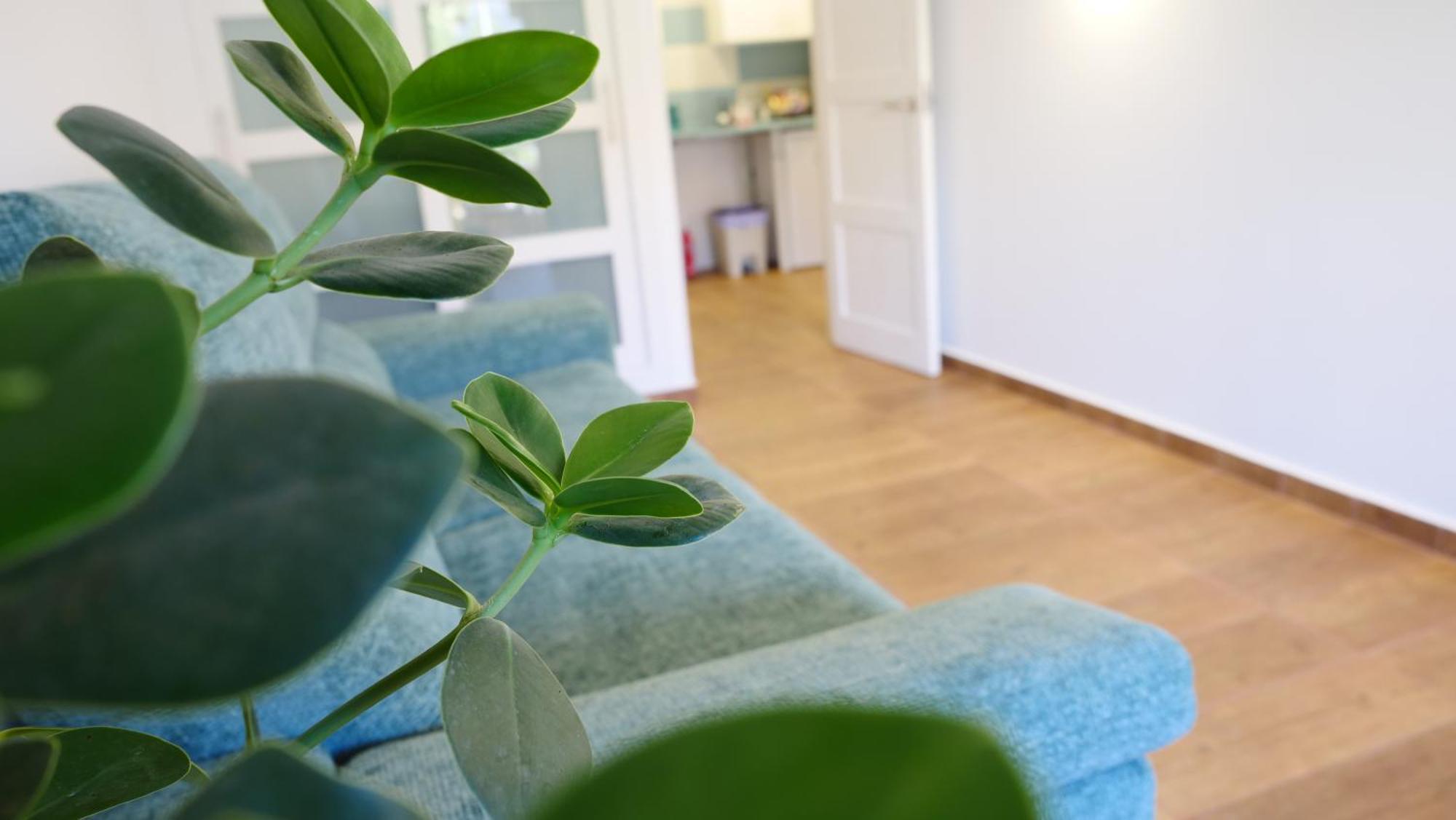 Tuerkiz Kanaan Apartman Puerto de Santiago  Eksteriør bilde